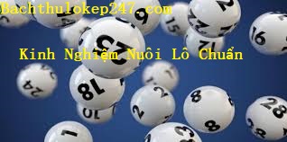 Kinh nghiệm nuôi lô nhất miền Bắc từ chuyên gia soi cầu