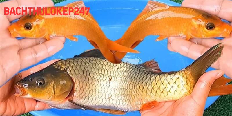 Chú ý về những giấc mơ cụ thể mà bạn đã gặp