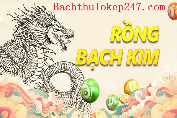 Vai trò và mục tiêu của rồng bạch kim trong soi cầu xổ số miền Bắc quan trọng đôi với người chơi